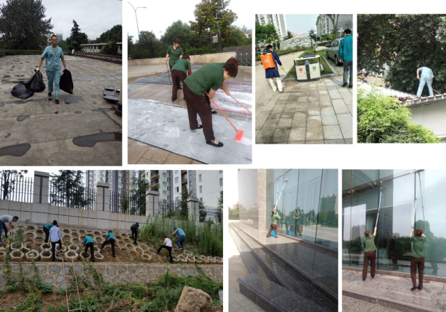 1623289585131983.jpg 4.jpg