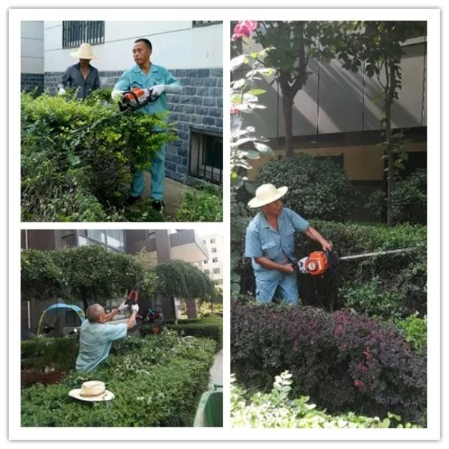 1623289634951314.jpg 5.webp.jpg