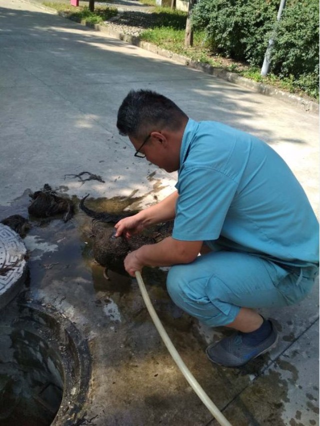 1623297032948392.jpg 7.jpg