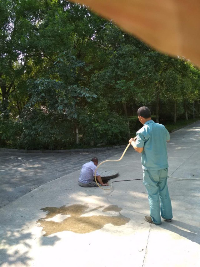 1623297050207468.jpg 8.jpg