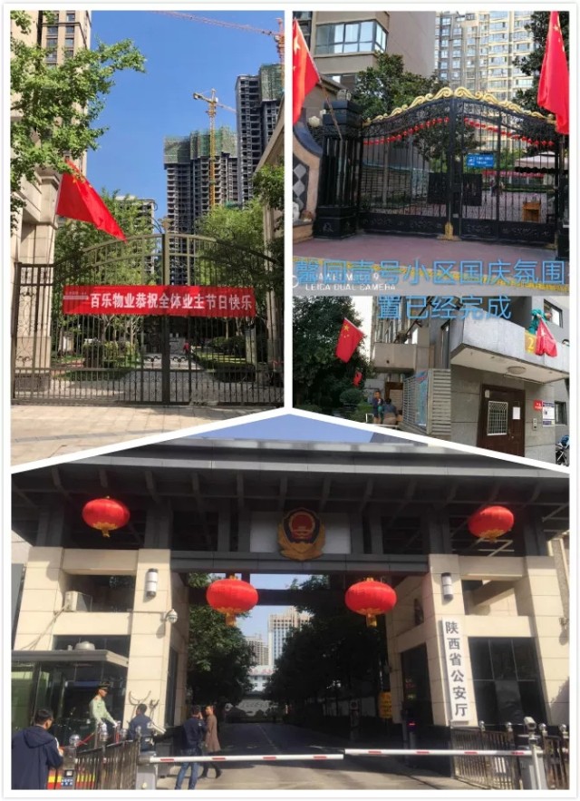 1623311186556429.jpg 5.webp.jpg