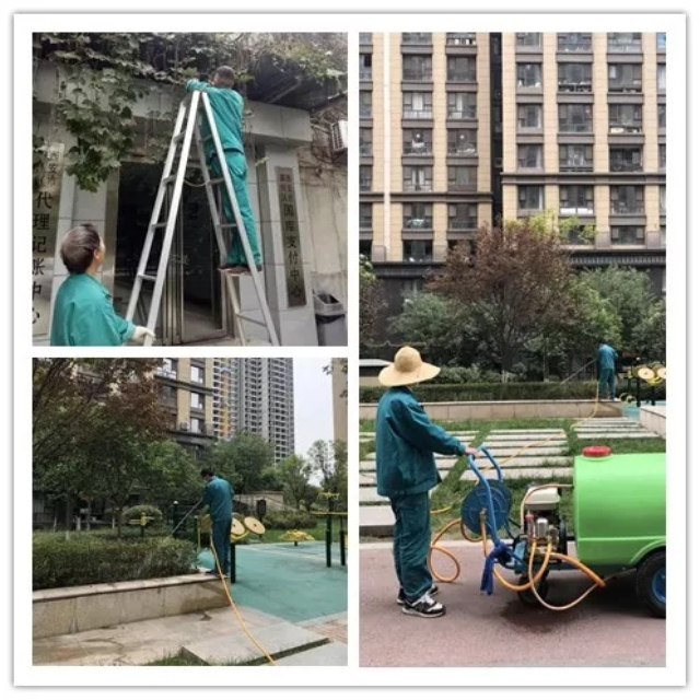 1623311364232004.jpg 10.webp.jpg