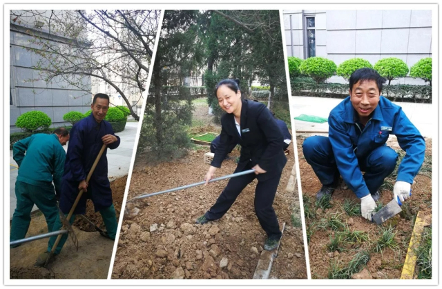 1623375010994972.jpg 2.webp.jpg