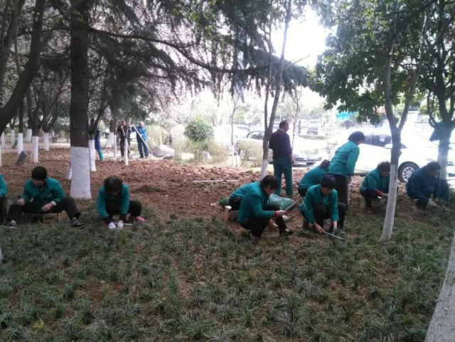 1623375036929137.jpg 3.webp.jpg