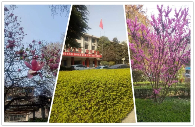 1623375142171364.jpg 6.webp.jpg