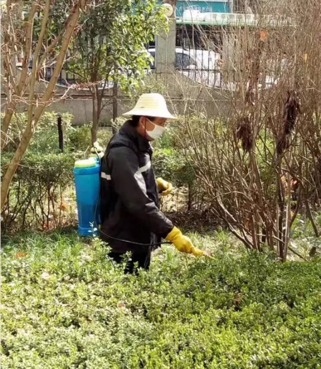 1623375158962744.jpg 7.webp.jpg