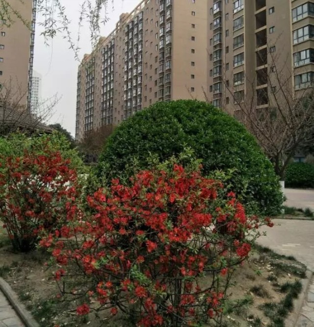 1623375326409781.jpg 11.webp.jpg