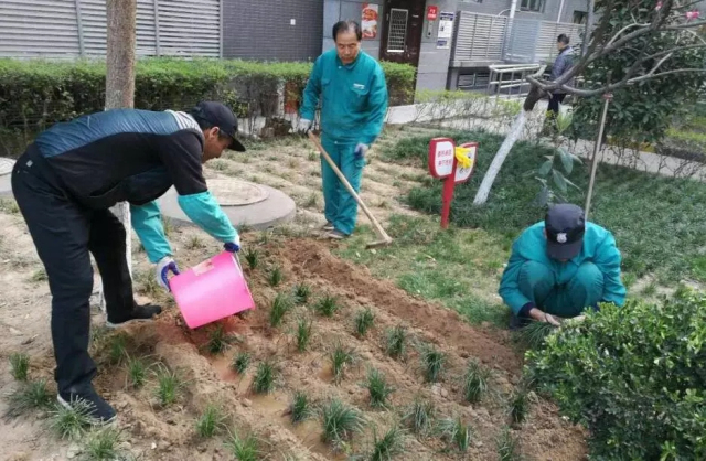 1623375344454088.jpg 12.webp.jpg