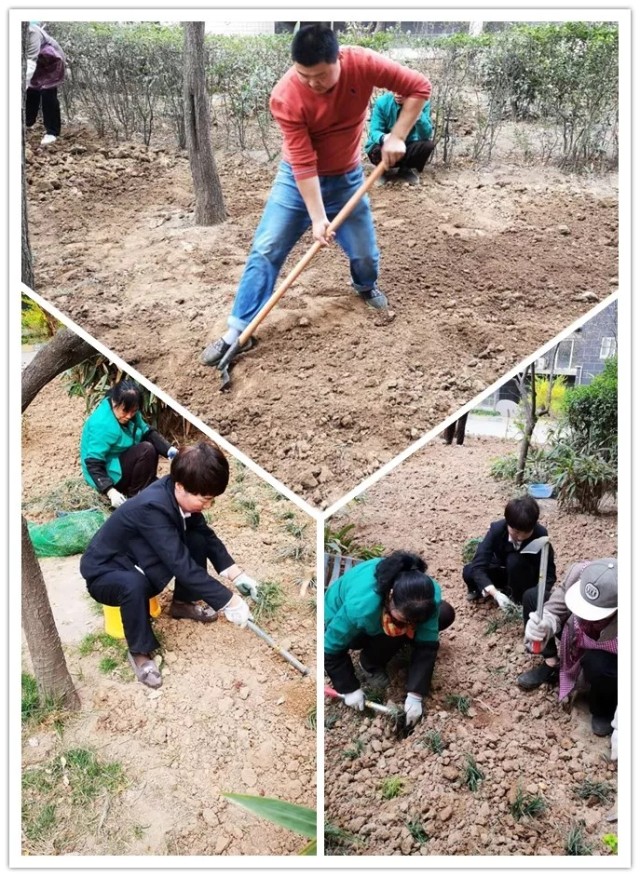 1623375376281728.jpg 13.webp.jpg