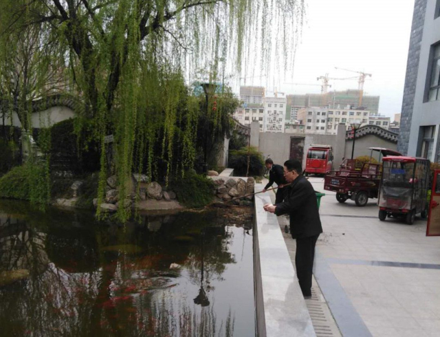 1623375419573501.jpg 14.jpg