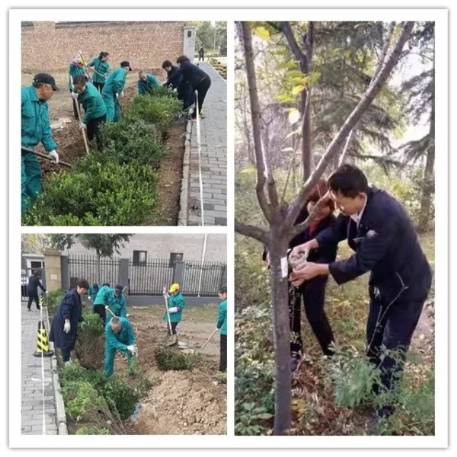 1623375447974375.jpg 15.webp.jpg