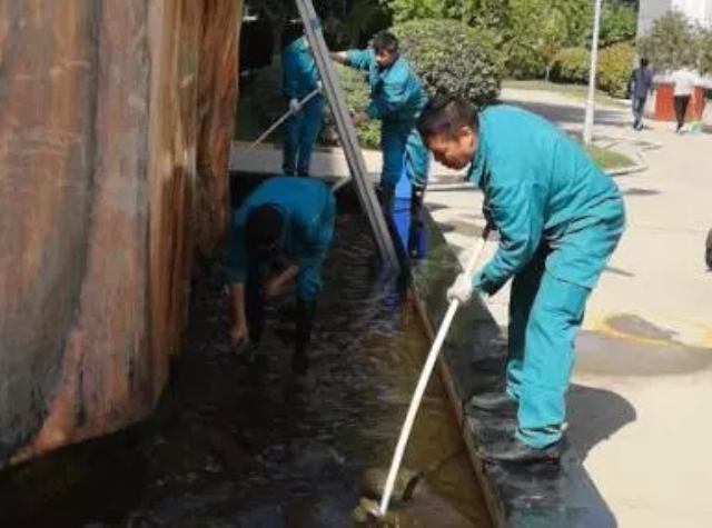 1623378803597255.jpg 2.webp.jpg