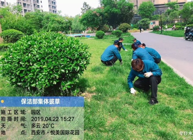 1623378875699236.jpg 7.webp.jpg