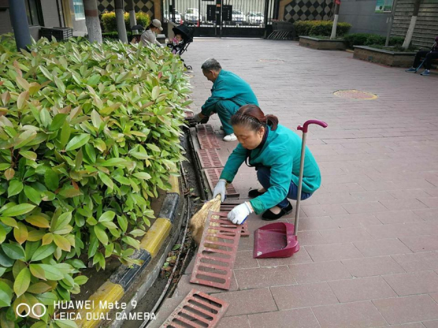 1623378901509147.jpg 9.jpg