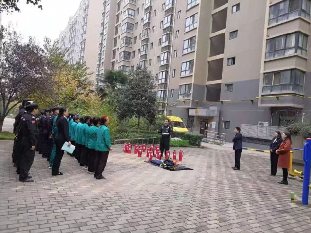 1623400422241449.jpg 15.webp.jpg