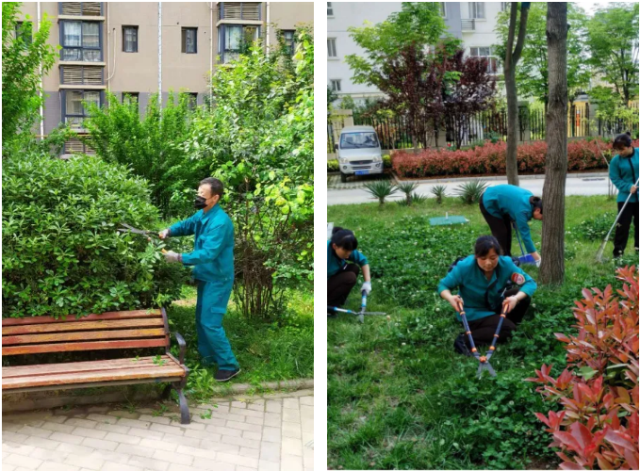 1623900742244593.png 3.png