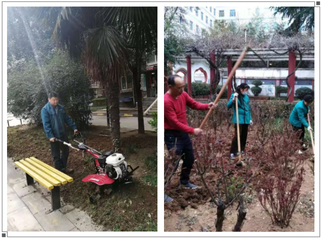 1624001901893962.jpg 1.jpg