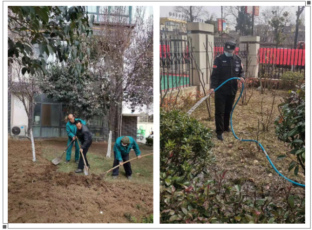 1624001925143205.jpg 2.jpg