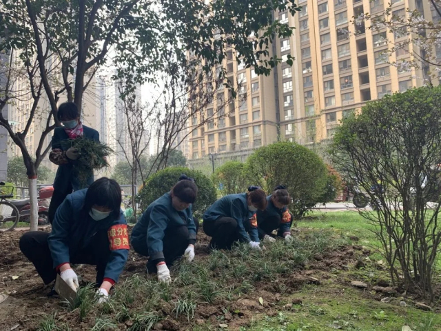 1624001950523686.jpg 3.webp.jpg