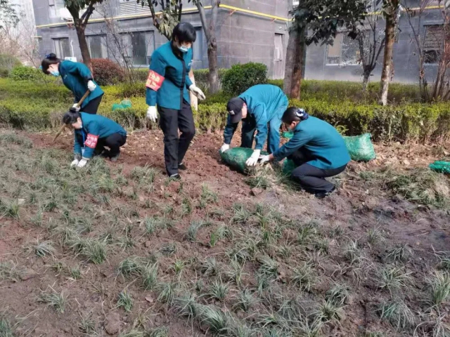 1624001978559477.jpg 4.webp.jpg