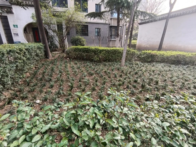 1624002018202372.jpg 6.webp.jpg