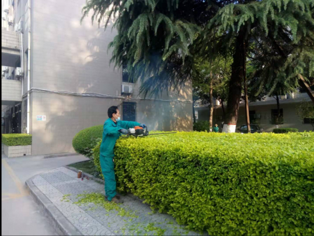 1624002040314414.jpg 7.jpg