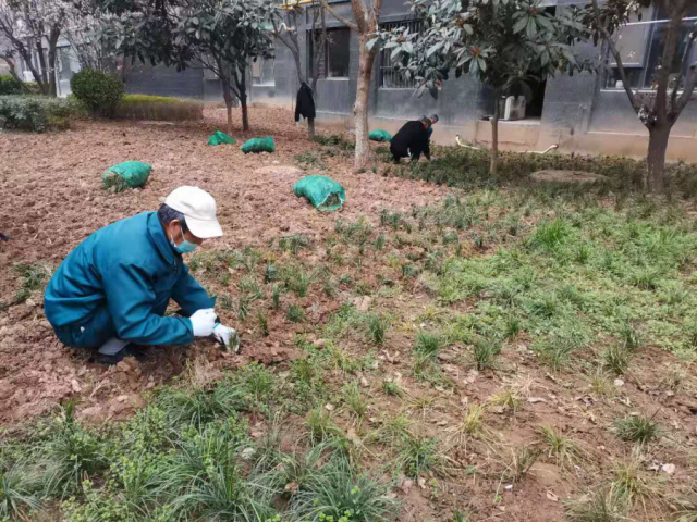 1624002057868957.jpg 8.jpg