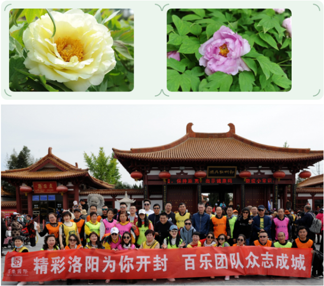 1624003585805858.jpg 3.jpg