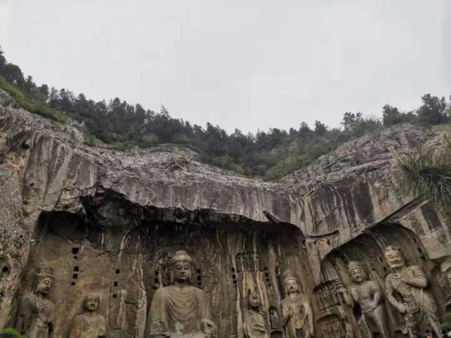 1624003615790794.jpg 4.jpg