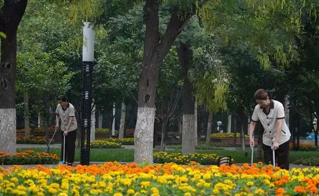 1625214220393534.png 1.png