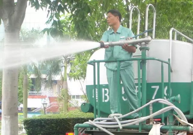 1625214232407769.jpg 2.webp.jpg