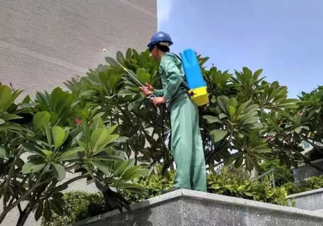 1625214248540349.jpg 3.webp.jpg