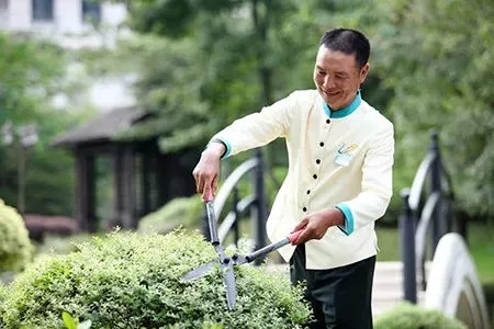 1625214447122601.jpg 4.webp.jpg