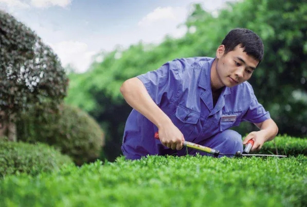 1625214625327804.jpg 5.webp.jpg