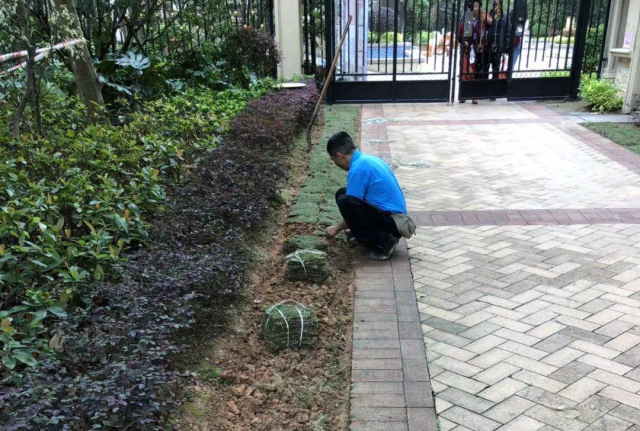 1625215306919309.jpg 01.webp.jpg