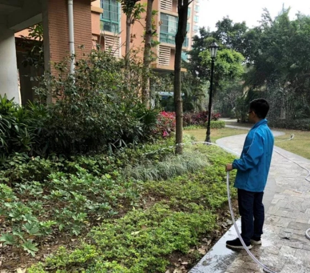 1625215498358472.jpg 02.webp.jpg