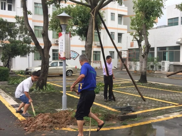 1625215534586335.jpg 03.webp.jpg