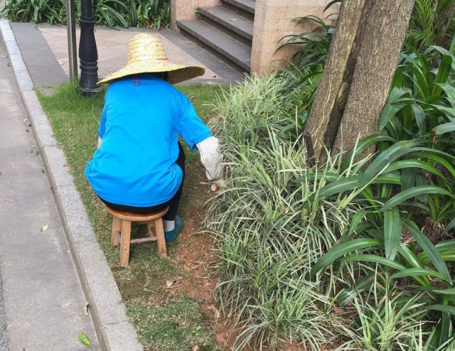 1625215574891851.jpg 04.webp.jpg