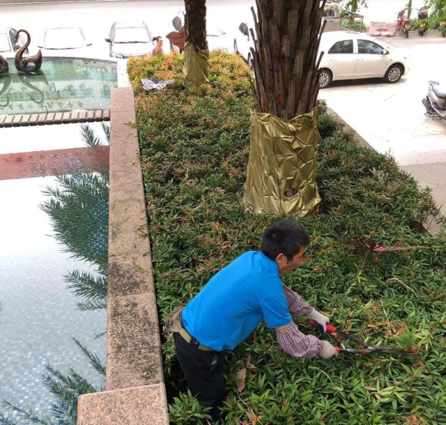 1625215613759213.jpg 05.webp.jpg