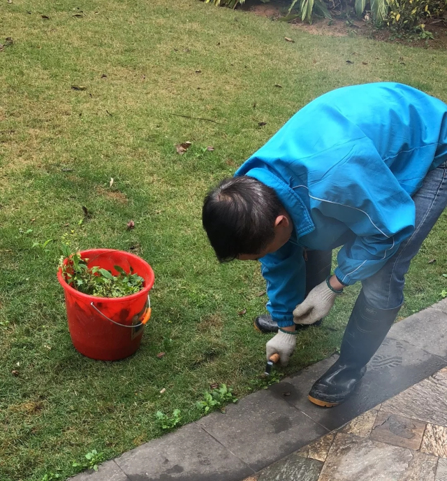 1625215637109942.jpg 06.webp.jpg