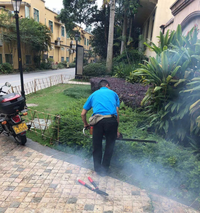 1625215675627676.jpg 07.webp.jpg