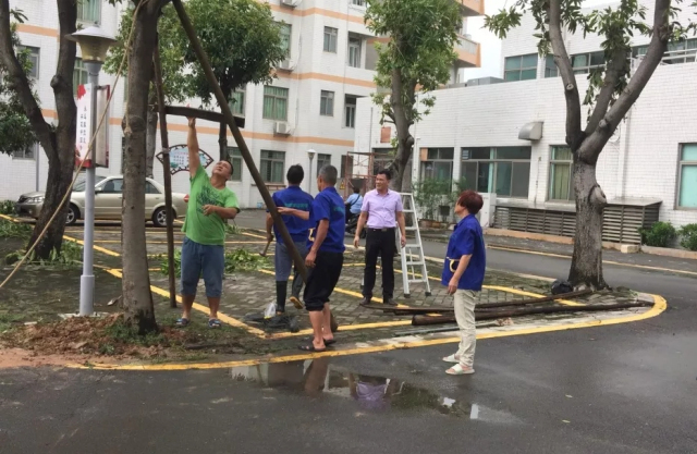 1625215706644454.jpg 08.webp.jpg