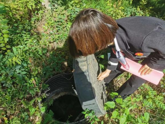 1667353693297385.png 011.png