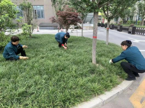 1682559288898909.png 640 (4).png