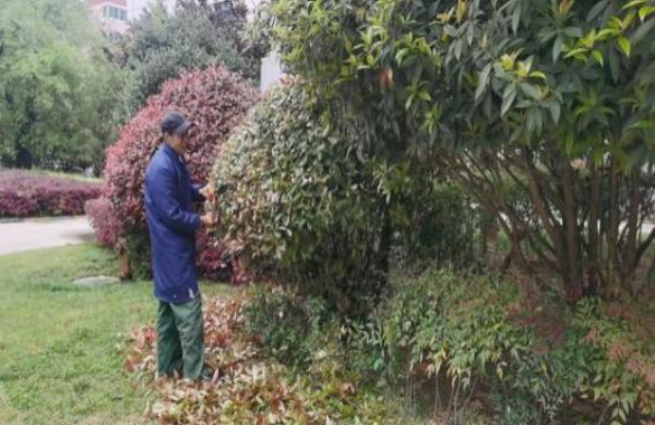 1682559297216059.png 640 (5).png