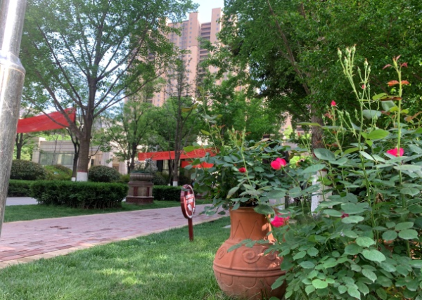 1682559353700163.png 02.png