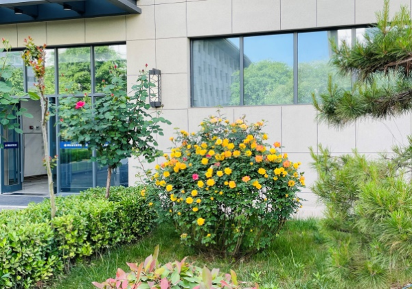 1682559360861009.png 03.png