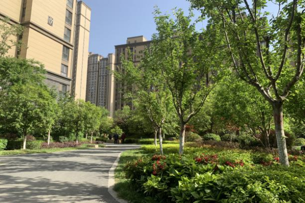 1682559396558537.png 05.png