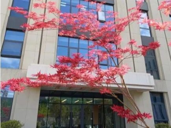 1682559536723979.png 010.png