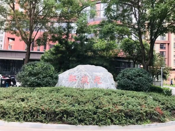 1695981634807349.jpg 5.jpg